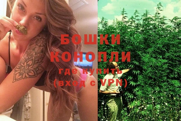 Альфа ПВП Богородицк