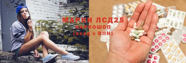 сатива Тутаев