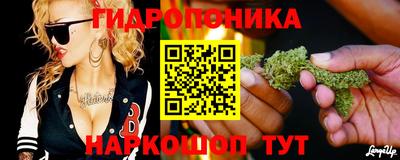 стафф Бийск