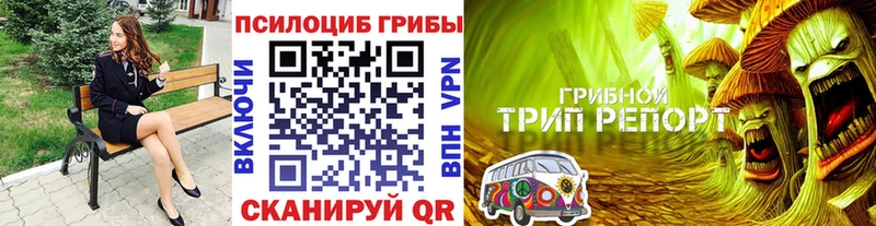Псилоцибиновые грибы MAGIC MUSHROOMS  ОМГ ОМГ как зайти  Бутурлиновка 