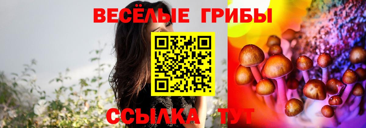 Псилоцибиновые грибы мухоморы  Вход с VPN  Бутурлиновка  Псилоцибиновые грибы Psilocybe 